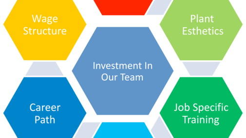 Investing in our team